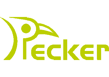portfolio-pecker-logo-design-002 PECKER LOGO设计提案集,包含16款风格迥异的设计构想